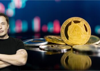 Memecoin: Community spirit is the secret sauce for success