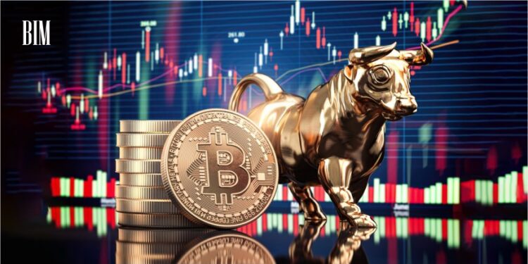 Upcoming market movers for Cryptocurrency trade in 2024